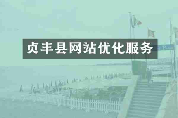 贞丰县网站优化服务