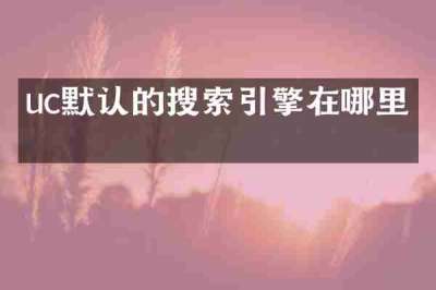 uc默认的搜索引擎在哪里看