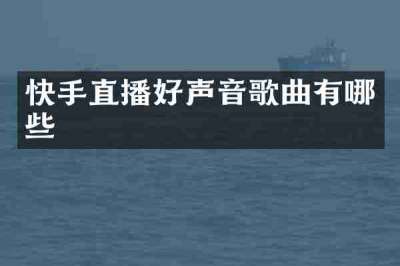 快手直播好声音歌曲有哪些