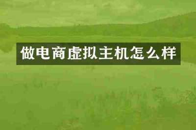 做电商虚拟主机怎么样