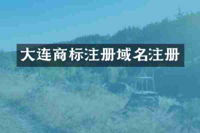 大连商标注册域名注册