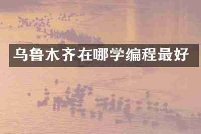 乌鲁木齐在哪学编程最好