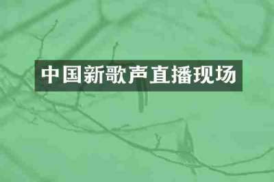 中国新歌声直播现场