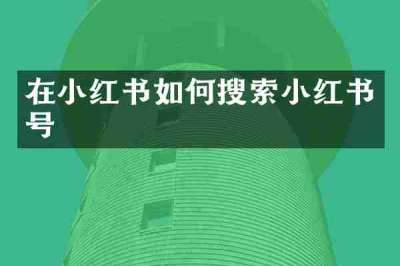 在小红书如何搜索小红书号