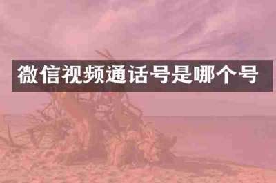 微信视频通话号是哪个号