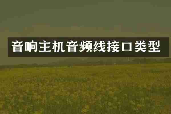 音响主机音频线接口类型