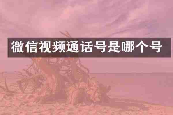 微信视频通话号是哪个号