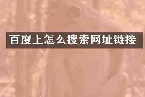 百度上怎么搜索网址链接