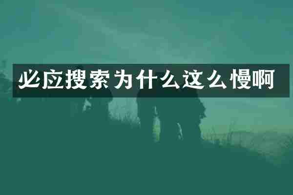 必应搜索为什么这么慢啊