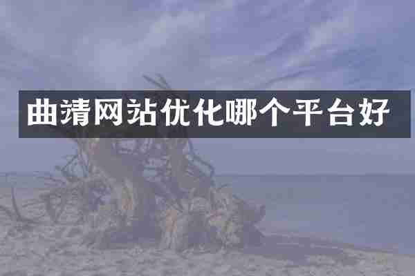 曲靖网站优化哪个平台好