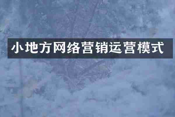 小地方网络营销运营模式