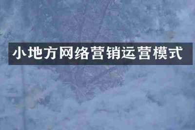 小地方网络营销运营模式