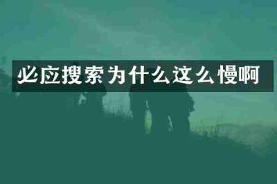 必应搜索为什么这么慢啊