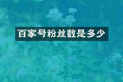 百家号粉丝数是多少