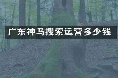 广东神马搜索运营多少钱