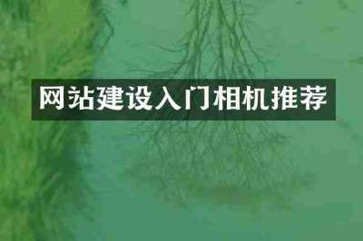 网站建设入门相机推荐