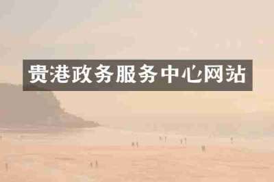 贵港政务服务中心网站