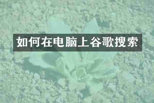 如何在电脑上谷歌搜索