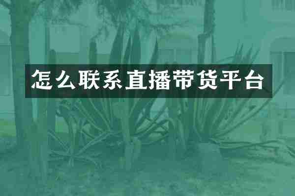 怎么联系直播带货平台