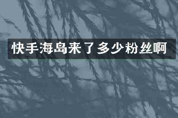 快手海岛来了多少粉丝啊