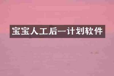 宝宝人工后一计划软件