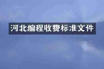 河北编程收费标准文件