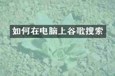 如何在电脑上谷歌搜索