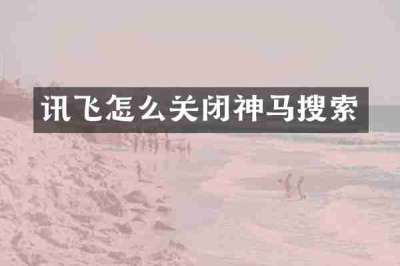 讯飞怎么关闭神马搜索