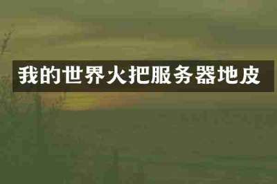 我的世界火把服务器地皮