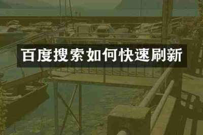 百度搜索如何快速刷新