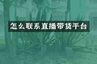 怎么联系直播带货平台