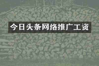 今日头条网络推广工资