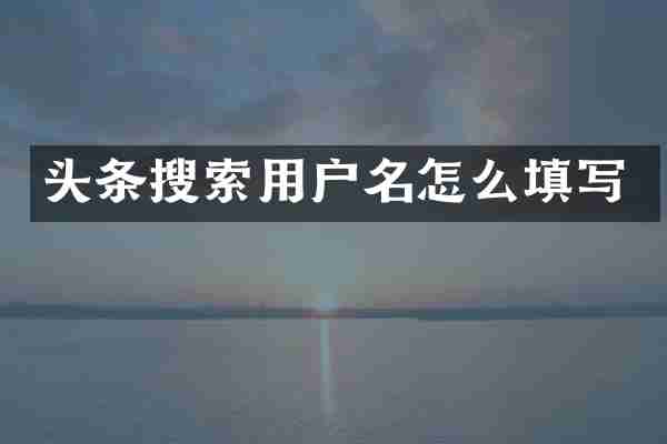 头条搜索用户名怎么填写
