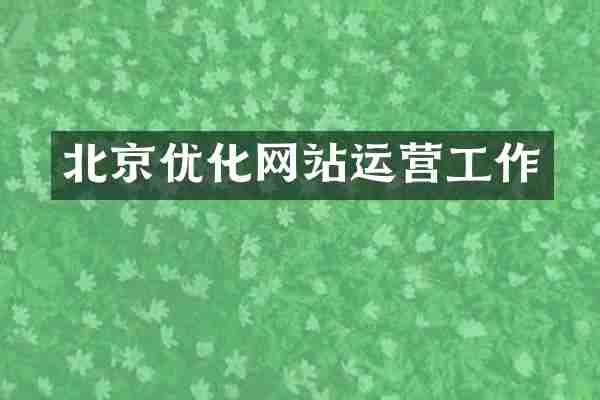北京优化网站运营工作
