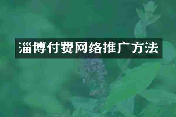 淄博付费网络推广方法