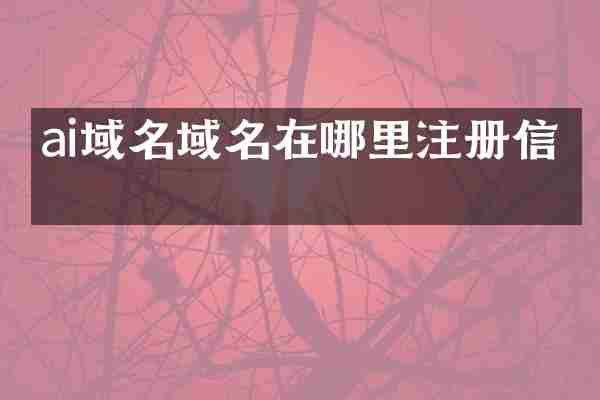 ai域名域名在哪里注册信息