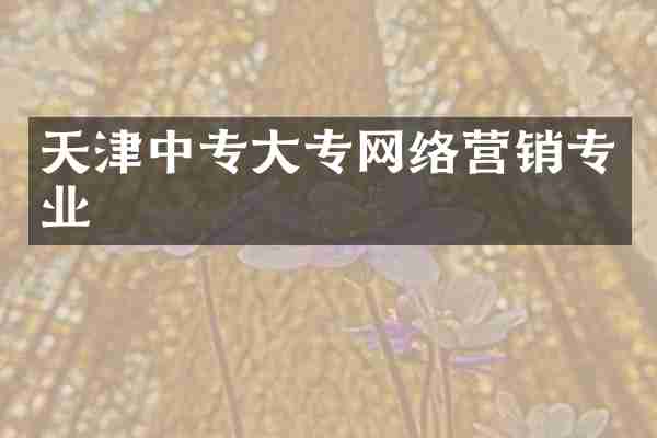 天津中专大专网络营销专业