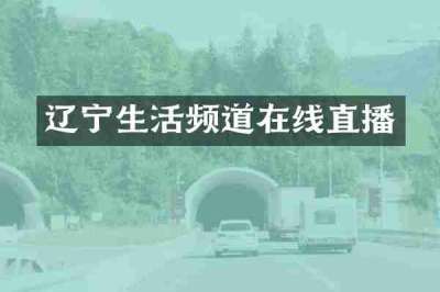 辽宁生活频道在线直播