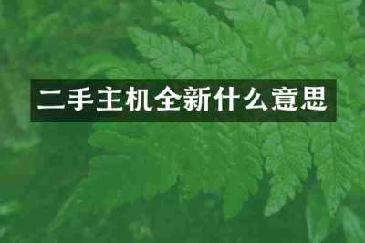 二手主机全新什么意思