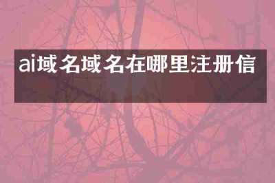 ai域名域名在哪里注册信息