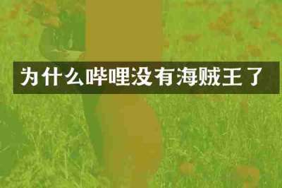 为什么哔哩没有海贼王了