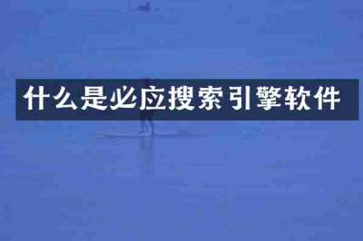 什么是必应搜索引擎软件