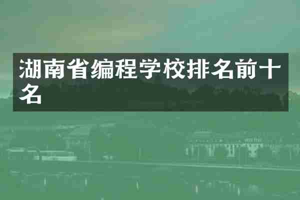 湖南省编程学校排名前十名