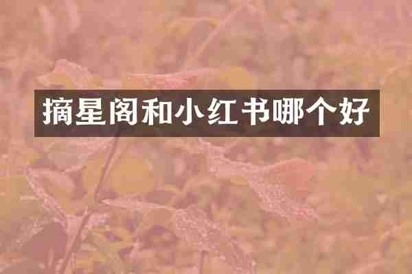 摘星阁和小红书哪个好