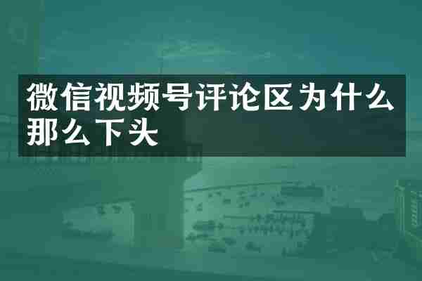 微信视频号评论区为什么那么下头