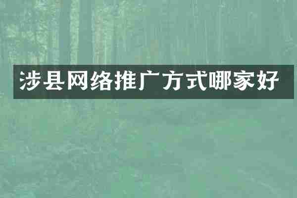 涉县网络推广方式哪家好