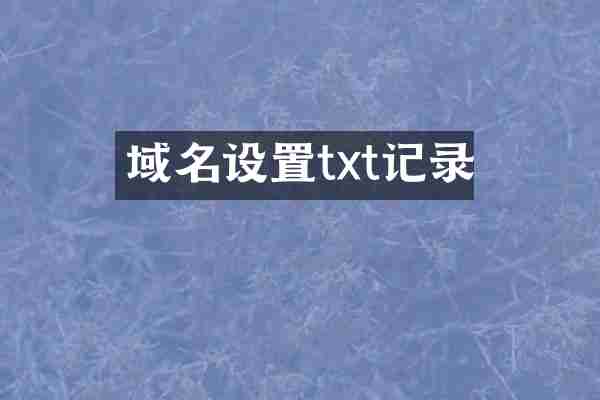 域名设置txt记录