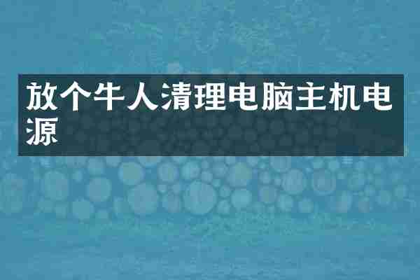 放个牛人清理电脑主机电源