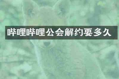 哔哩哔哩公会解约要多久