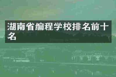 湖南省编程学校排名前十名